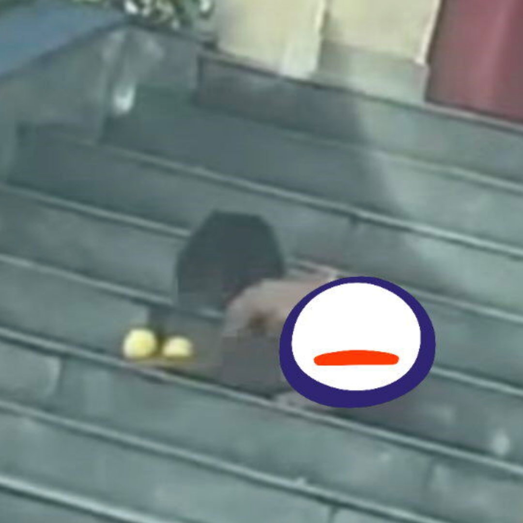 中國「野人小孩」事件引熱議，赤裸趴地進食，高學歷父母稱為「自然生活方式」，不接受勸導