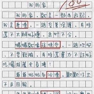 孩子寫作文「我的家」：爸爸像豬八戒，老師畫重點直接給100分！