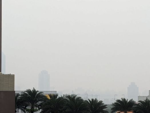 台中空污橘色警戒、雙北桃園霧濛濛有臭味！接送孩子上下學，連開車門也會增加PM2.5暴露量！4建議保護孩子