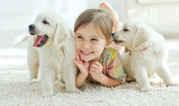 【寵物寶寶】新手養狗Q&A一次問！從環境布置到日常照顧，迎接毛孩的第一步