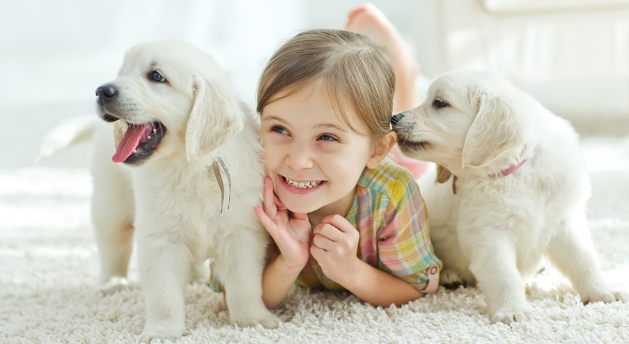 【寵物寶寶】過敏與養寵物，一定只能二選一嗎？下決定前，先問三個關鍵問題