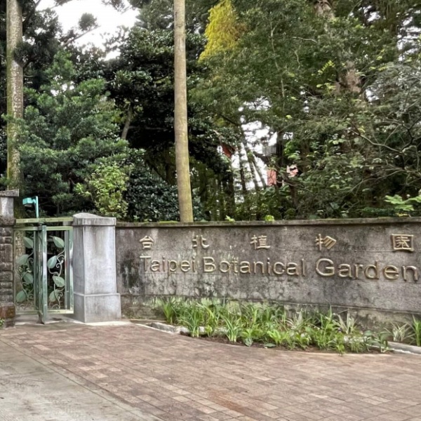 免費親子新景點登場囉！「森林系遊樂設施」＋「典藏植物園暑期課程」帶孩子去釋放活力再一起納涼去