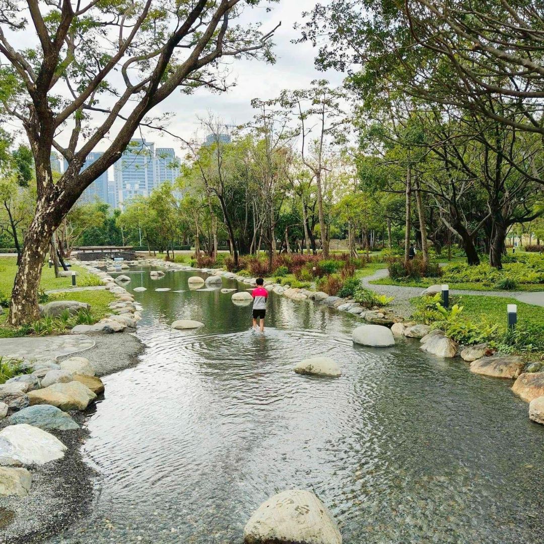 【特公盟專欄】高雄內惟森林親水河道，玩水消暑新祕境