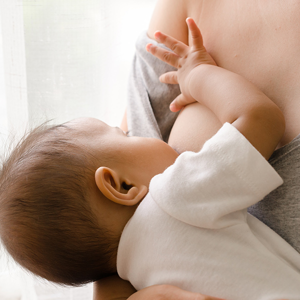 分娩後乳房腫脹、疼痛當心「乳腺炎」！中醫推「這些中藥」能舒緩