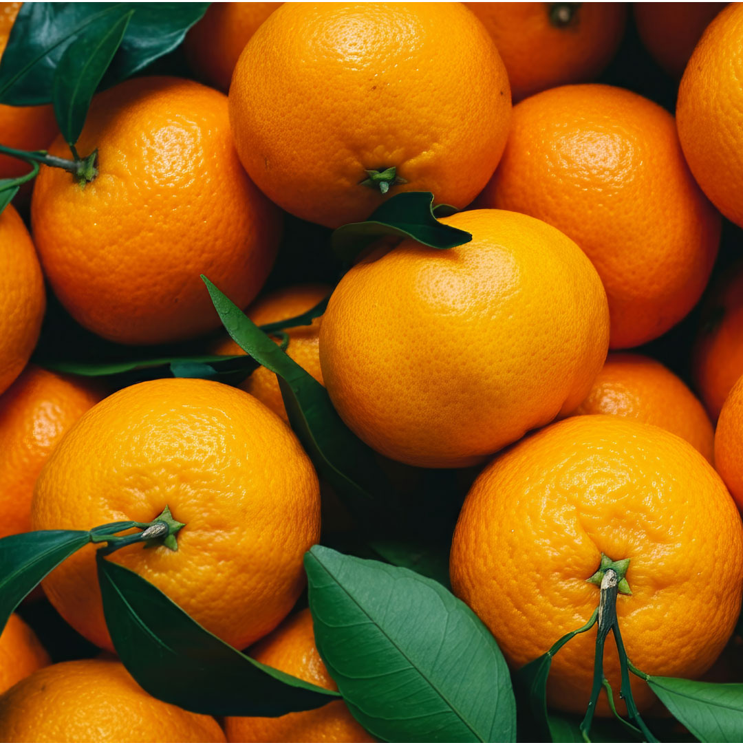 外表醜的橘子反而甜？柑橘類水果6大挑選關鍵，第一眼就避開地雷