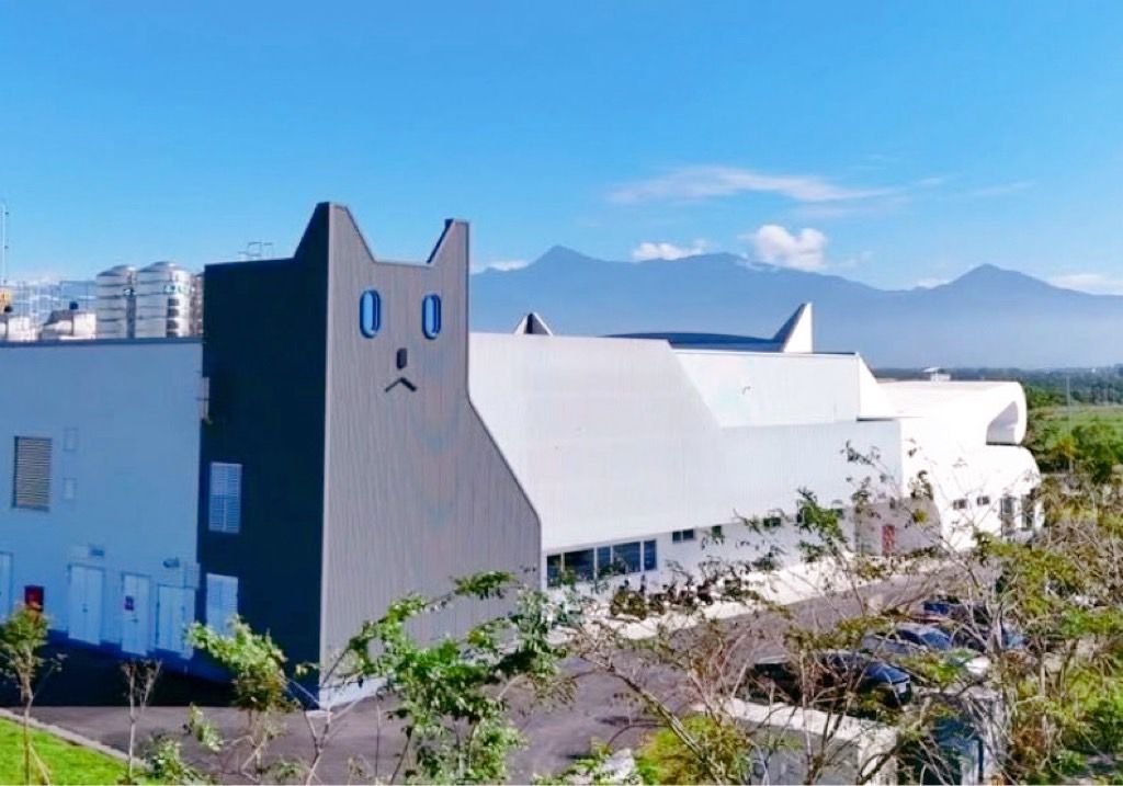 貓咪工廠|屏東|親子旅遊