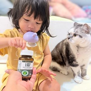 黑松L-137植物乳酸菌膠囊體驗心得