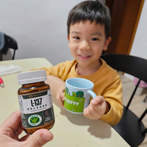 黑松L-137植物乳酸菌膠囊