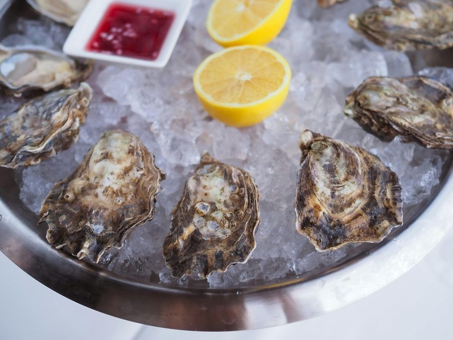 過年|春節|聚餐|選餐廳|冬季病毒|諾羅病毒|風險|環境|醫師