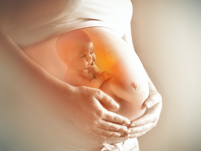 懷孕｜胚胎｜孕期飲食