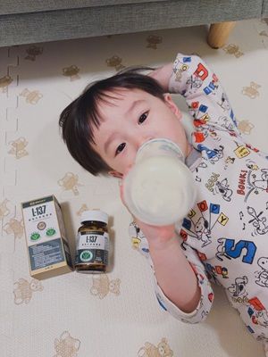 黑松L-137植物乳酸菌膠囊體驗心得