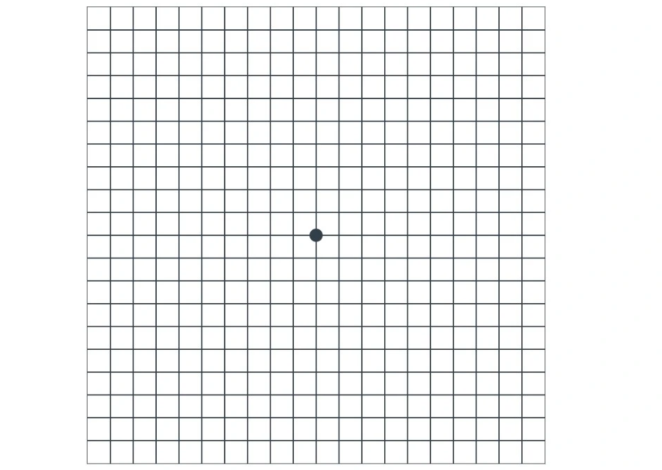 阿姆斯勒方格表｜檢測黃斑部病變