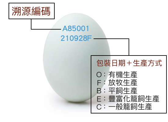 雞蛋編碼