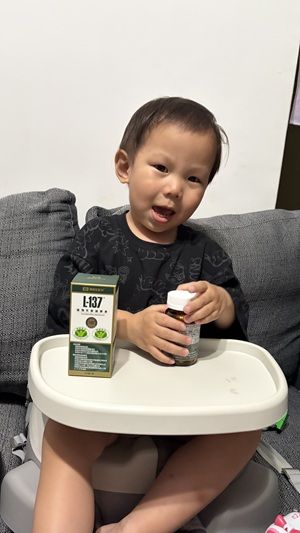 黑松L-137植物乳酸菌膠囊體驗心得