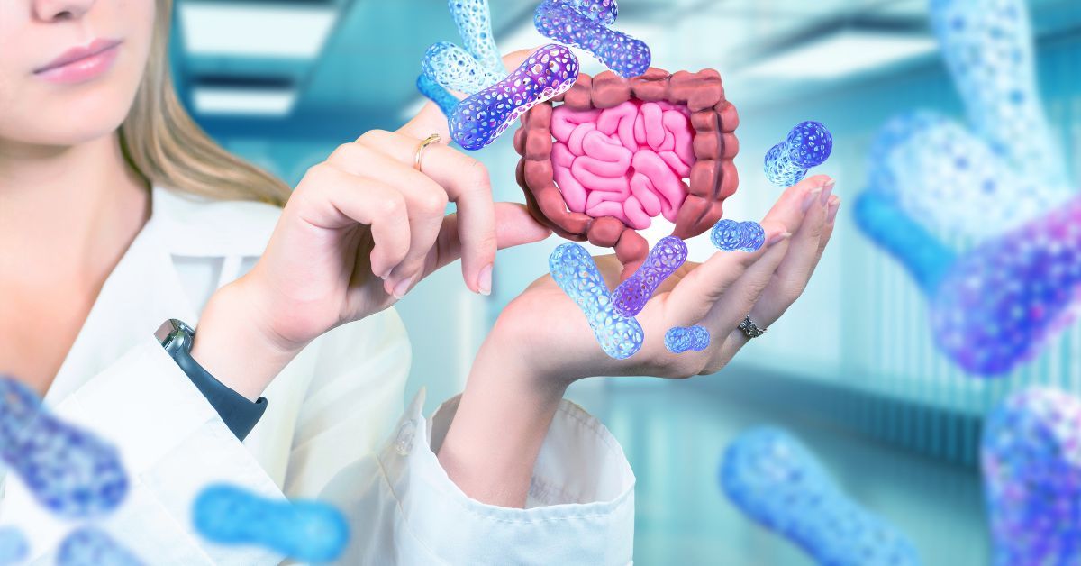建立健康的腸道菌生態