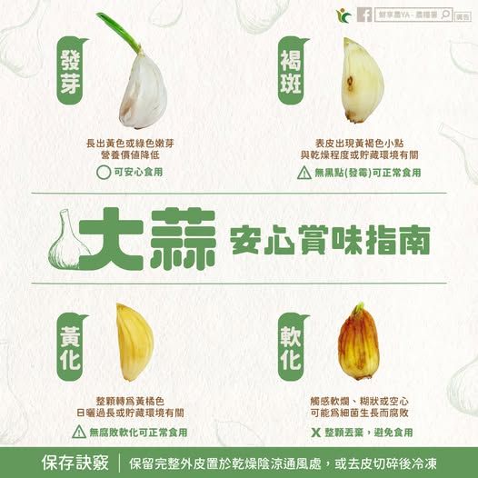 大蒜│蒜頭