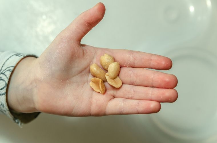 誤食異物│肺塌陷