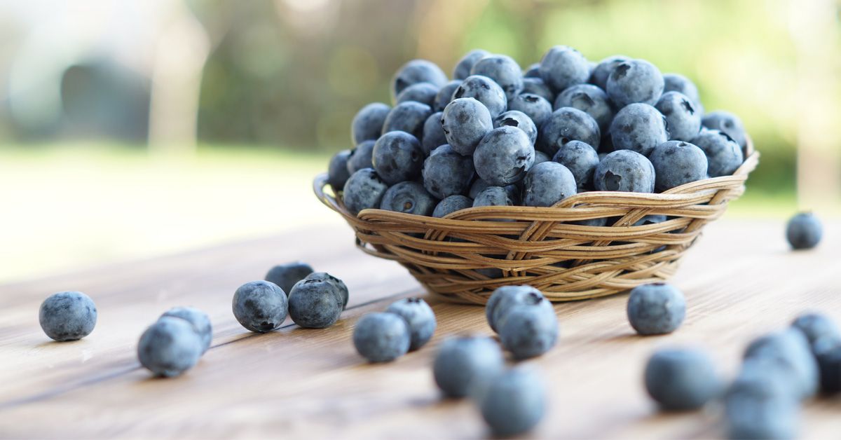藍莓