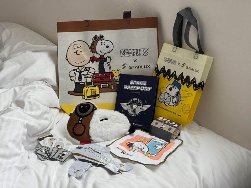 嬰兒|出國|旅遊|搭飛機|航空公司|空服人員|親子友善度|貼心度|夫妻|爸媽|嬰兒提籃|親身實測|排名