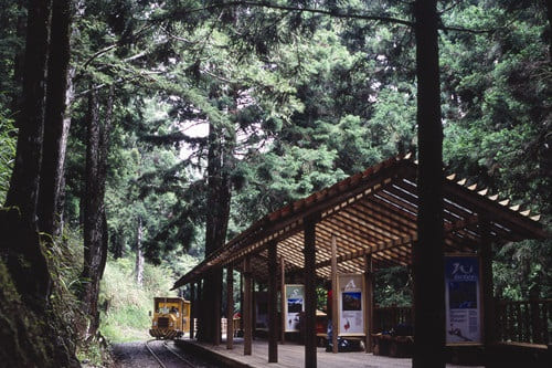 茂興站月台｜太平山國家森林遊樂區