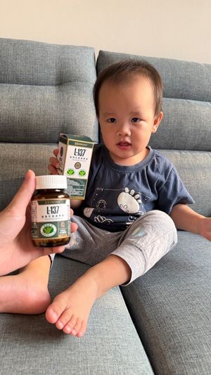 黑松L-137植物乳酸菌膠囊體驗心得