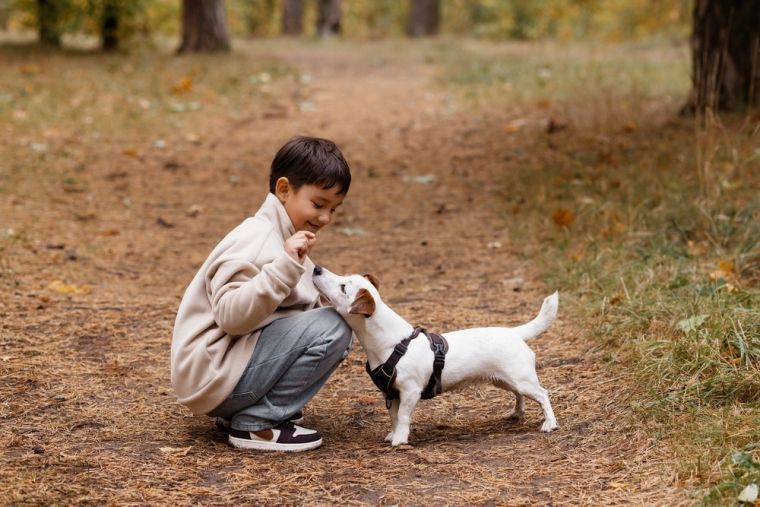 孩子說想養狗