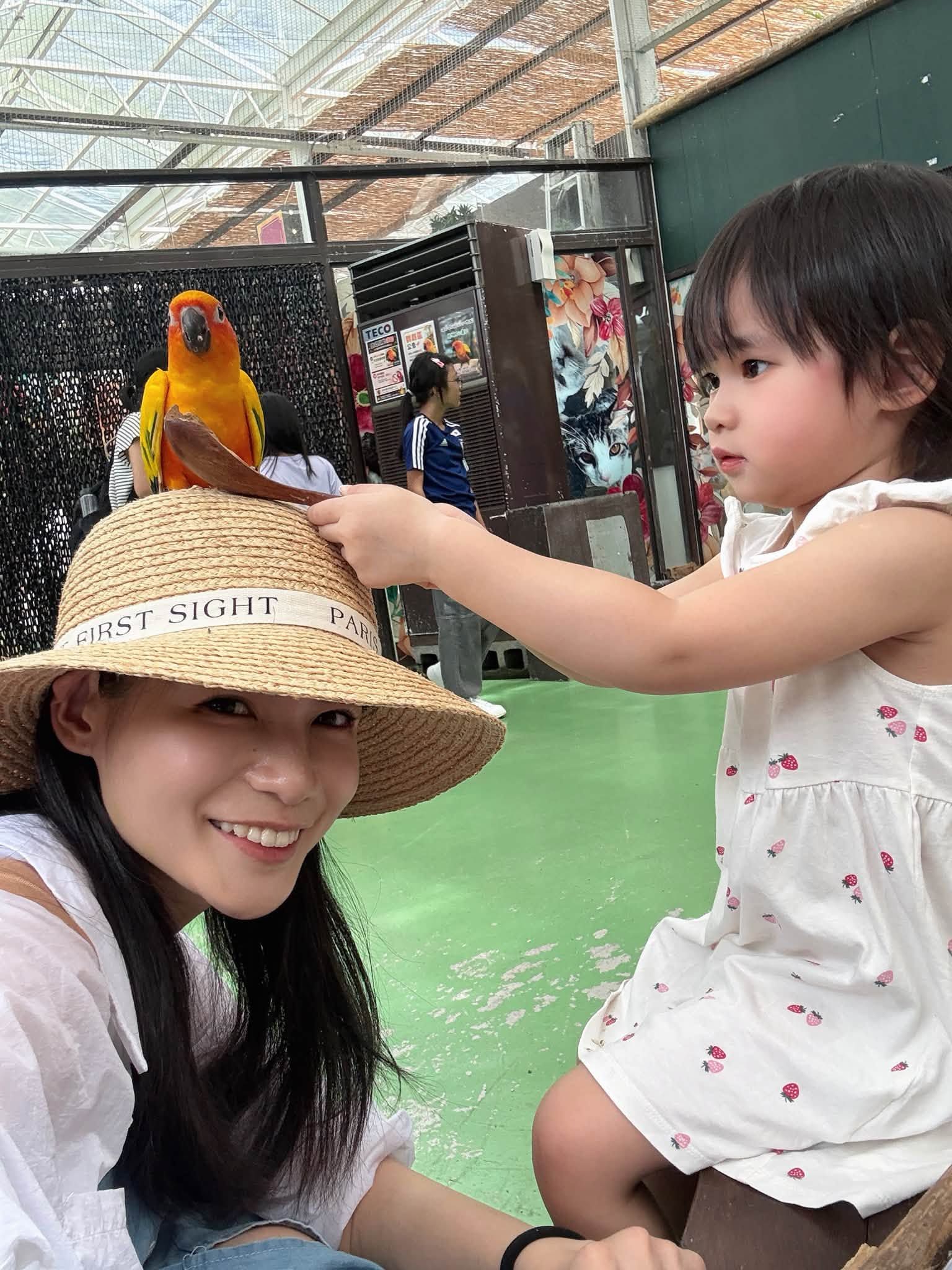 蘿莉塔育兒心聲
