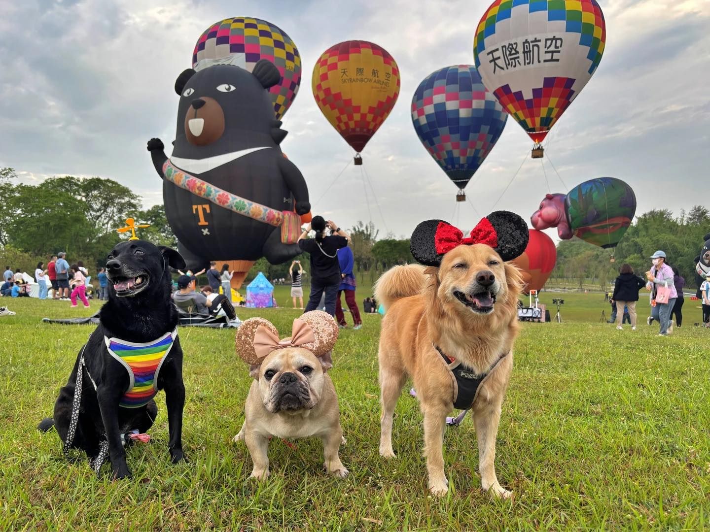 2026西拉雅森活節