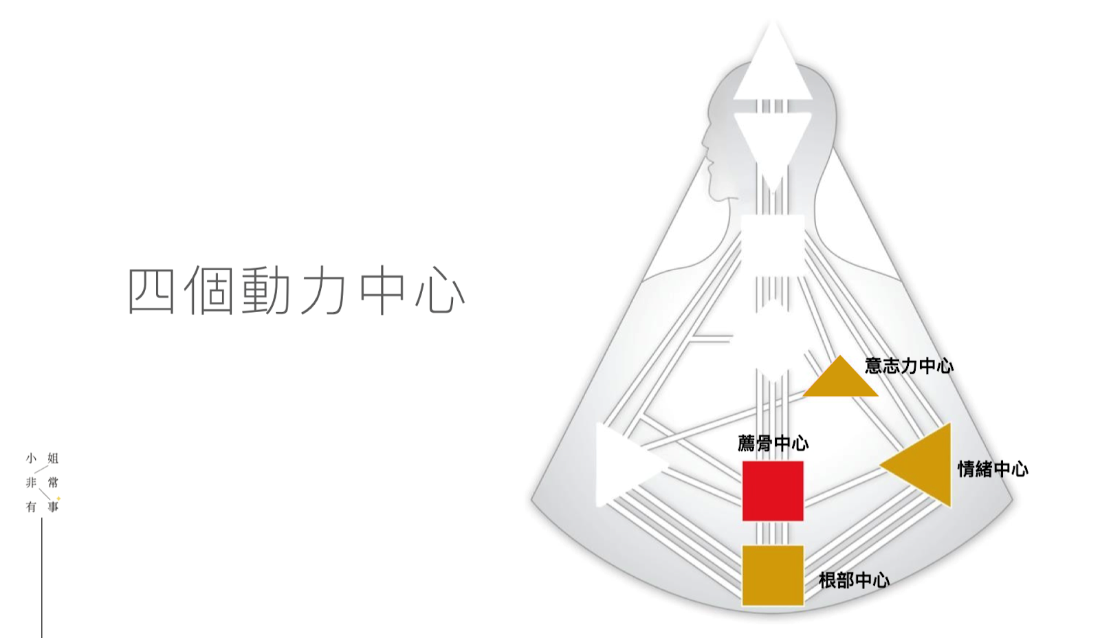 人類圖│放電│親職教養│薦骨中心│情緒│意志力