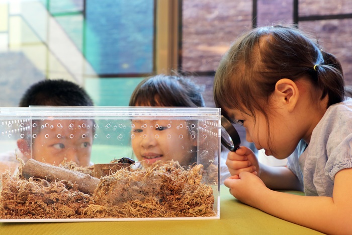 動物園│煙波湖濱館│煙波大飯店│親子飯店│親子旅遊