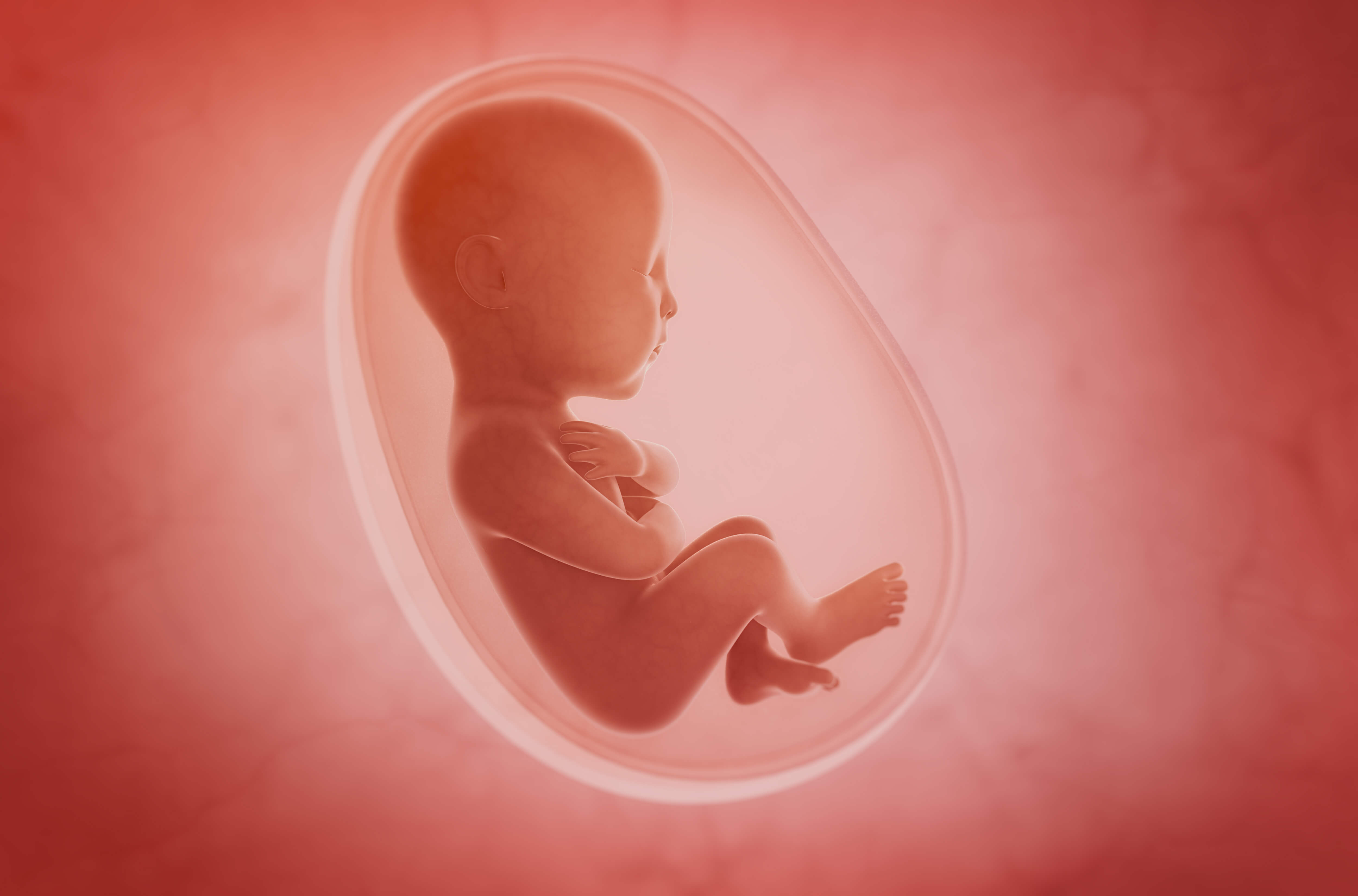 怀孕5个月的孕妇肚子有多大图片（怀胎十个月，了解胎儿每个月的成长变化，孕妇的养胎效果会更好） | 说明书网