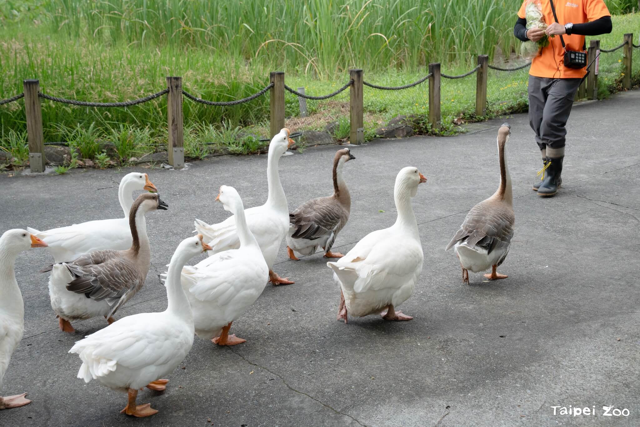 臺北市立動物園