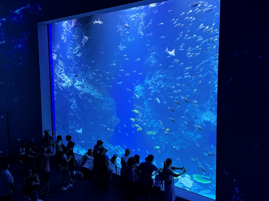 台中海洋館