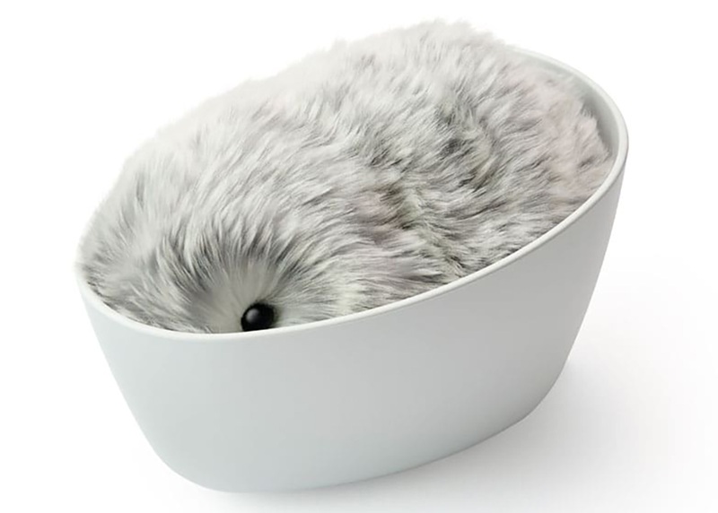 卡西歐|CASIO|AI機器寵物|AI情感系統|天竺鼠|寵物機器人|Moflin|可愛