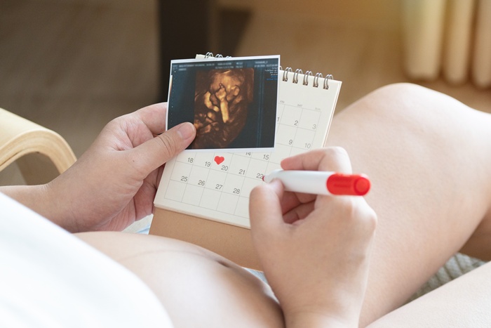 胎兒發育歷程│孕期後期│胎兒發育│受孕│分娩