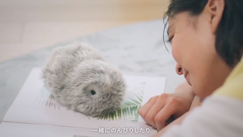 卡西歐|CASIO|AI機器寵物|AI情感系統|天竺鼠|寵物機器人|Moflin|可愛