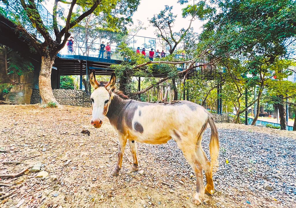 高雄壽山公園 |高雄景點