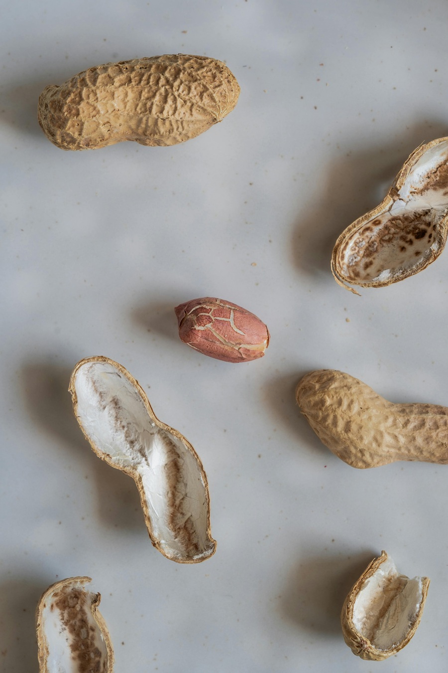 兒童急診|兒科急診|嗆到|氣管|卡住|X光|花生|噎到|意外|吳昌騰