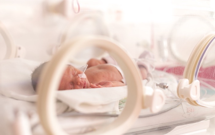 早產兒｜嬰兒照護｜出院準備｜袋鼠式護理