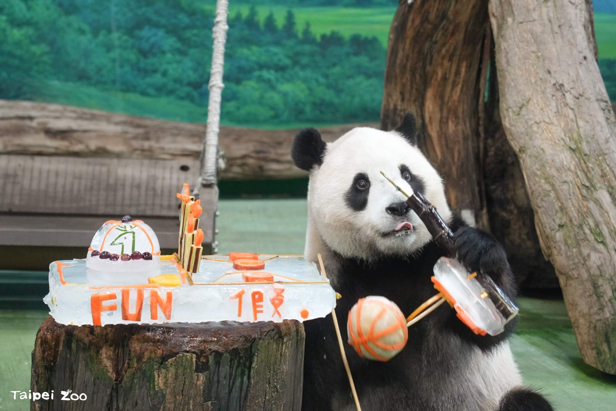 台北市立動物園