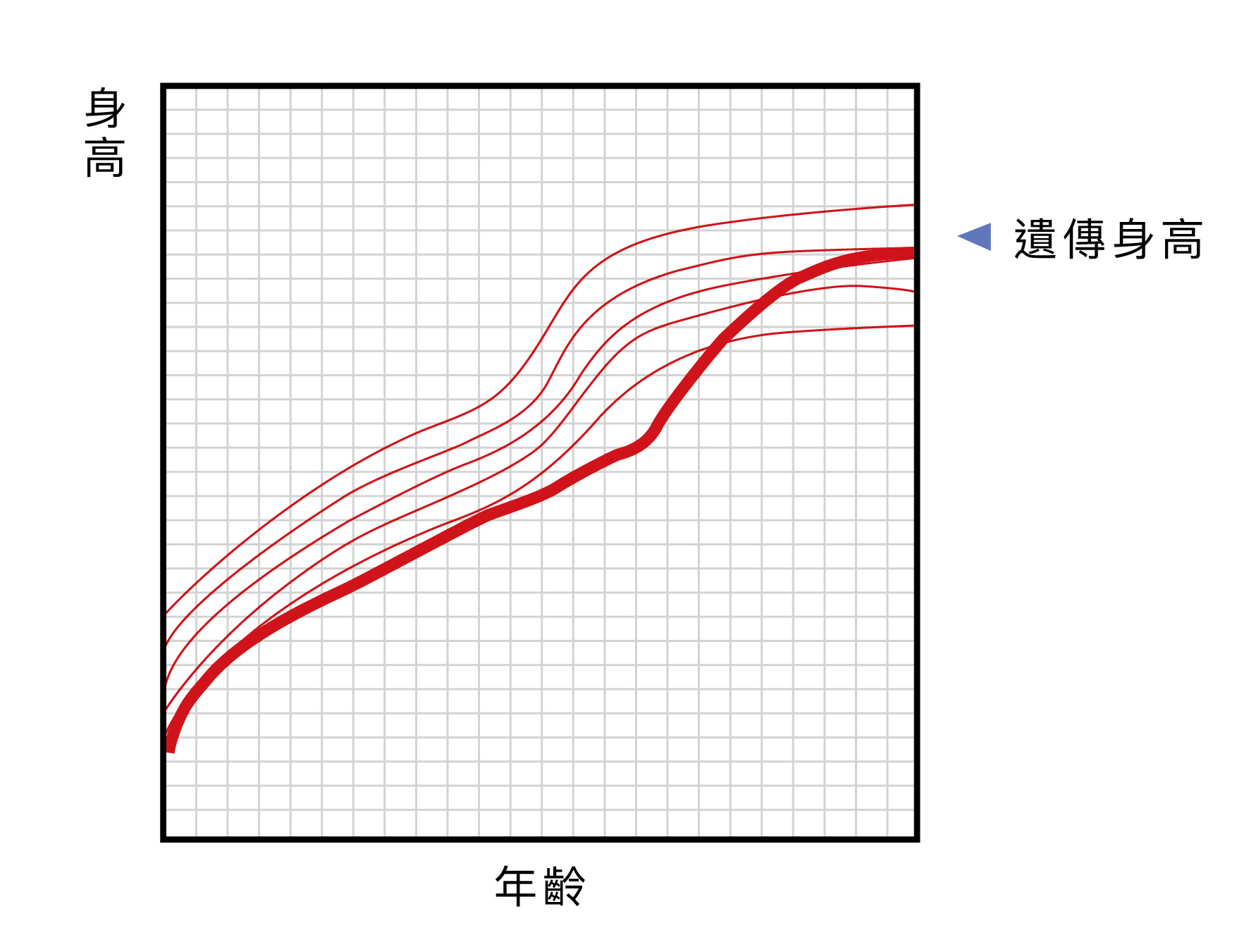 家族性│矮小│體質性生長遲緩