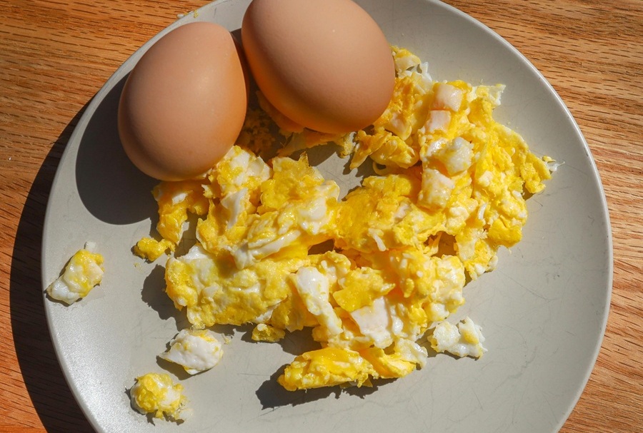 禽流感|台中|豐原|台中市政府|無毒教母|譚敦慈|雞蛋|安全吃蛋