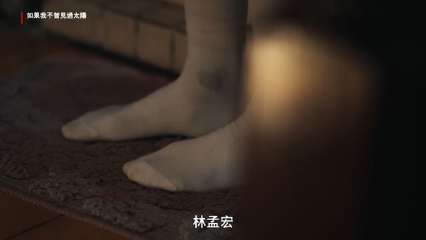 如果我不曾見過太陽