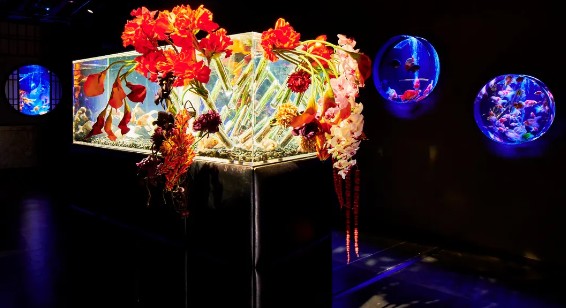 Art Aquarium 金魚藝術展