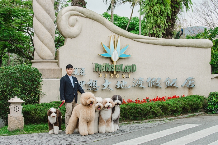 理想大地∣寵物寶寶