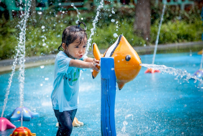 為淡水湖泊、河流中自然生存的單細胞寄生蟲，喜好溫暖環境