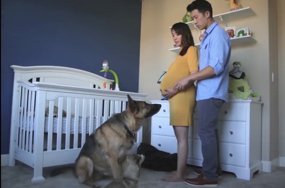 懷孕 孕期 紀錄片