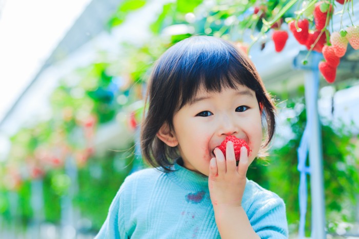 草莓季