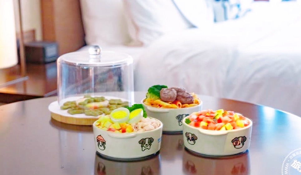 寵物寶寶|威斯汀毛孩樂園