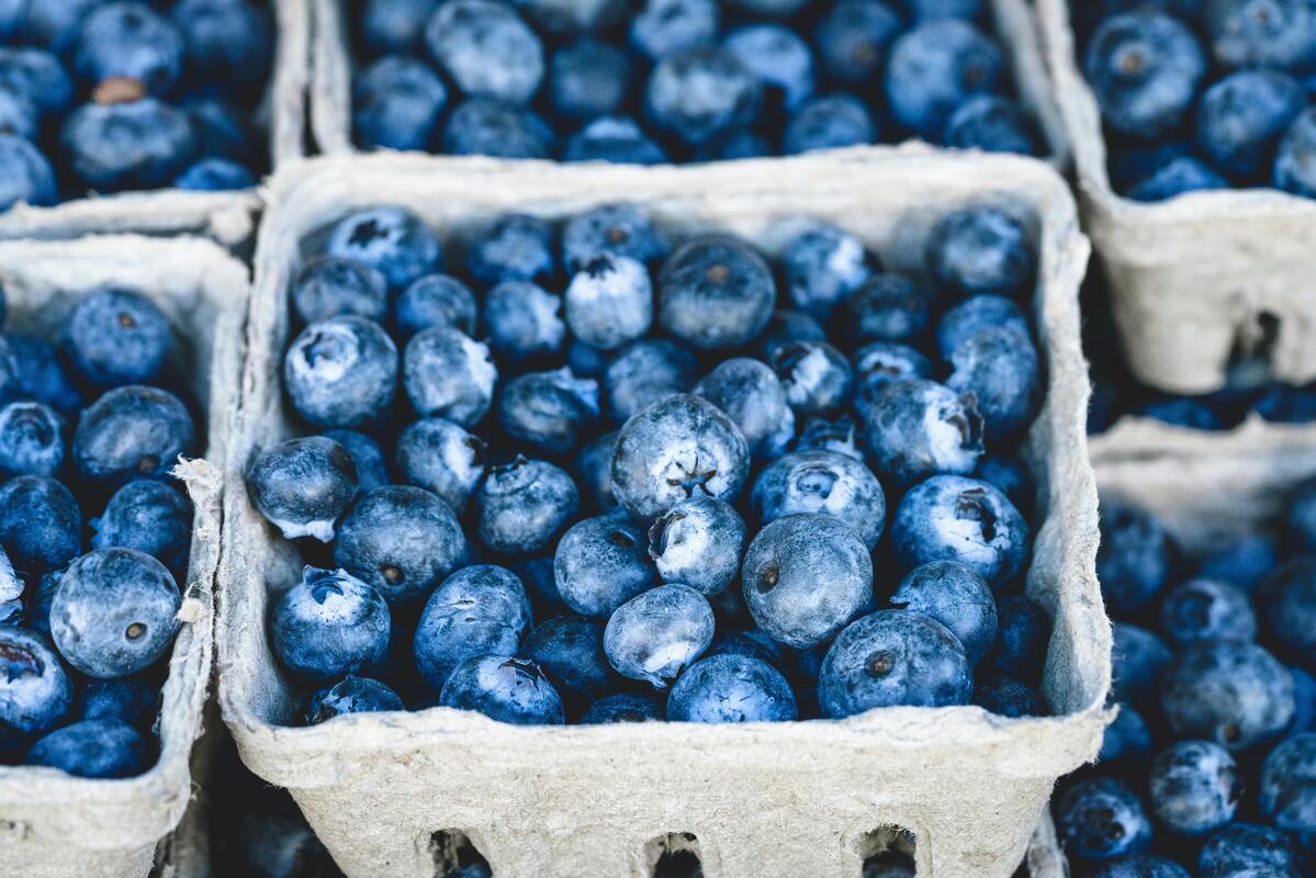 藍莓│A肝│冷凍莓果│食安